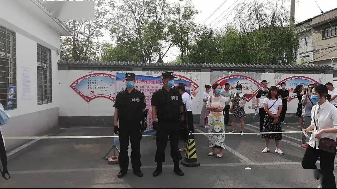 闪耀的承诺，金戒指图片背后的故事与意义