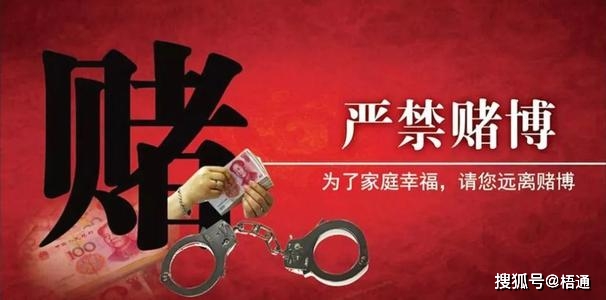 赌一个胆码，陈华的勇气与抉择