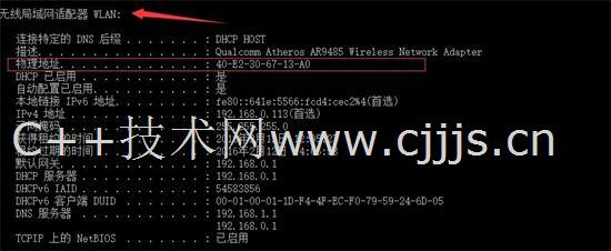2041年香港马会最新开奖结果，科技与传统的完美融合香港马 会开奖结果新闻