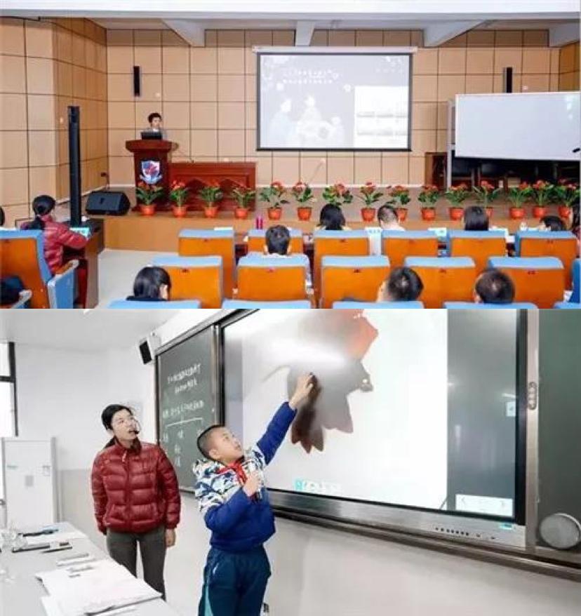 蓝姐三中三大数据论坛，解锁数字时代的智慧与机遇蓝姐三中三论坛资料大全最新版本更新内容介绍
