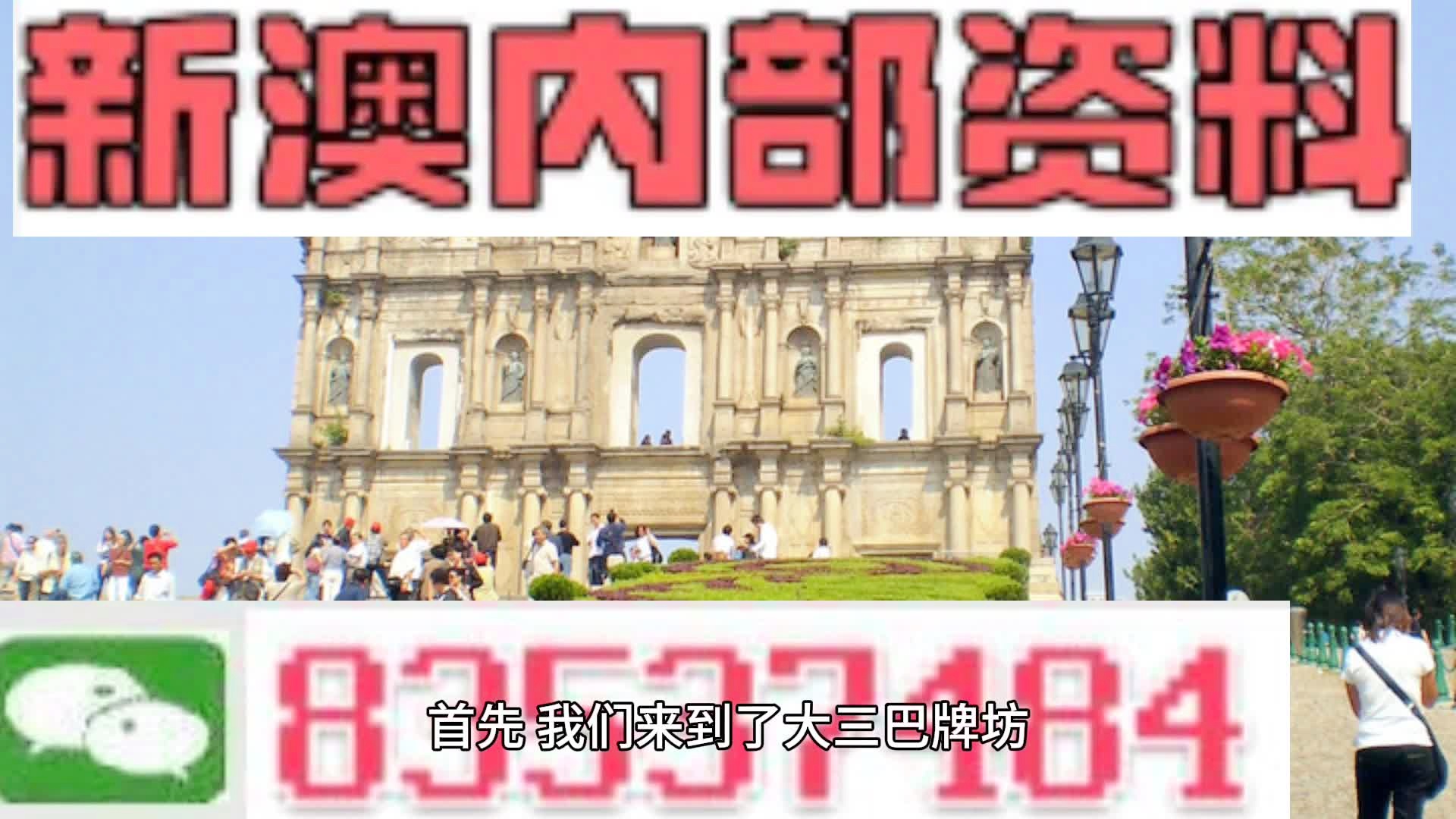 探索新澳门号码，揭秘其独特魅力与查询方法新澳门号码查询号码是多少号啊怎么查