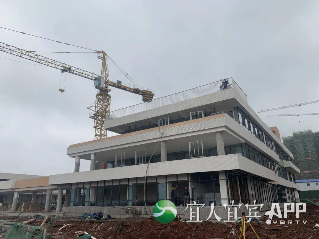 2035年新澳门彩，未来趋势与最新预测澳门202|开奖结果