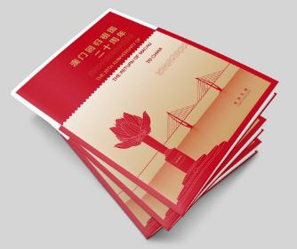 203年新澳门摇号记录查询指南，最新信息一网打尽澳门新车