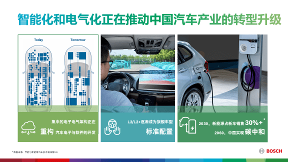 探索新澳门小动物号码查询，揭秘如何查明细信息澳门小动物网址