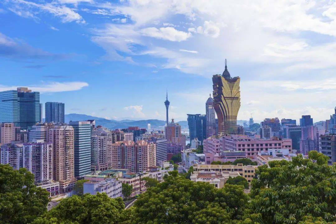 2035新澳门摇号结果查询，必备软件与便捷途径澳门摇钱树官方网站