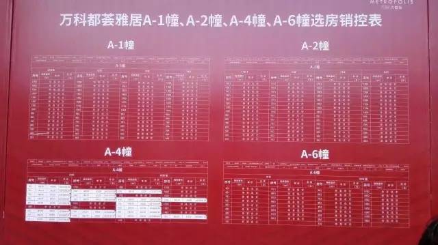 澳门2049，新篇章的摇号记录与未来展望新澳门人