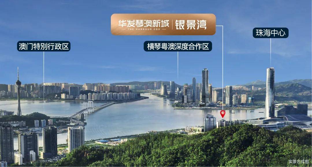 新澳门36期开奖结果直播回放，透视最新消息与新闻动态2020澳门开奖记录完整365期期更新