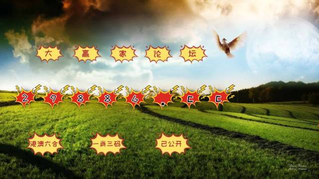 澳门开奖新纪元，6578期结果汇总与深度分析新澳门开奖记录